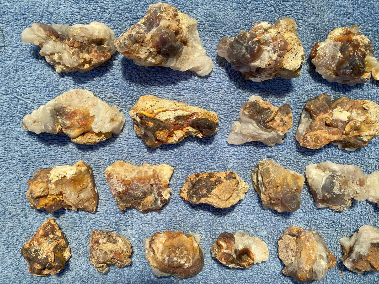 Collection of various sized and shaped pieces of Deer Creek fire agate rough on a textured blue surface