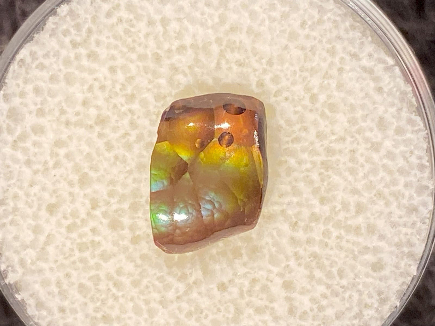 Multicolored Deer Creek fire agate gemstone sitting in a gemstone holder with white foam background