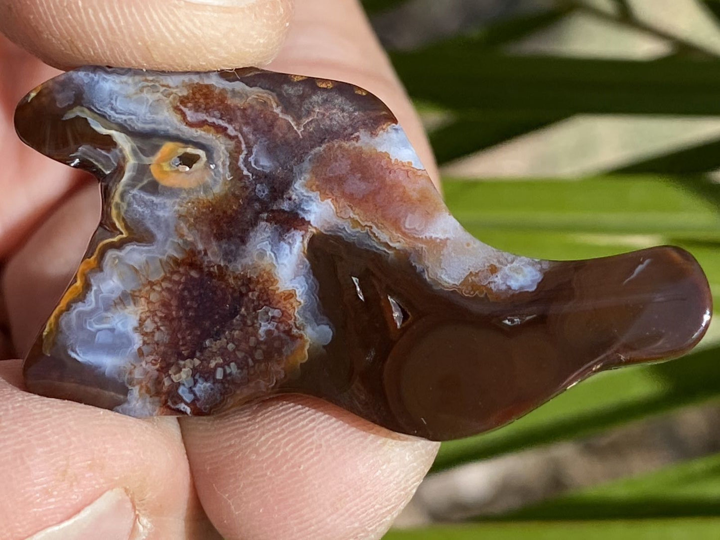Polished piece of Deer Creek fire agate held between fingers with a natural background