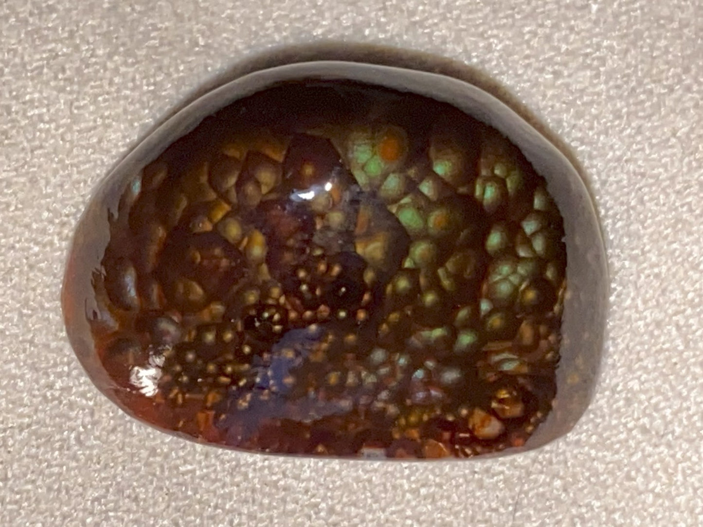Polished Deer Creek Fire Agate Gemstone with multicolored patterns on a textured gray background