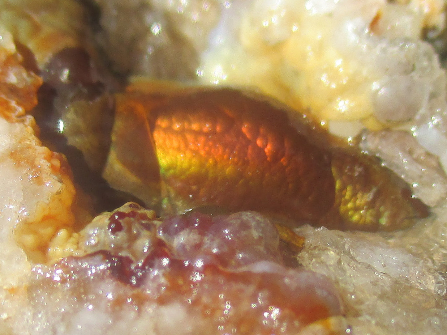 Deer Creek Fire Agate Gemstone Mineral Specimen displaying a all natural fire agate gem