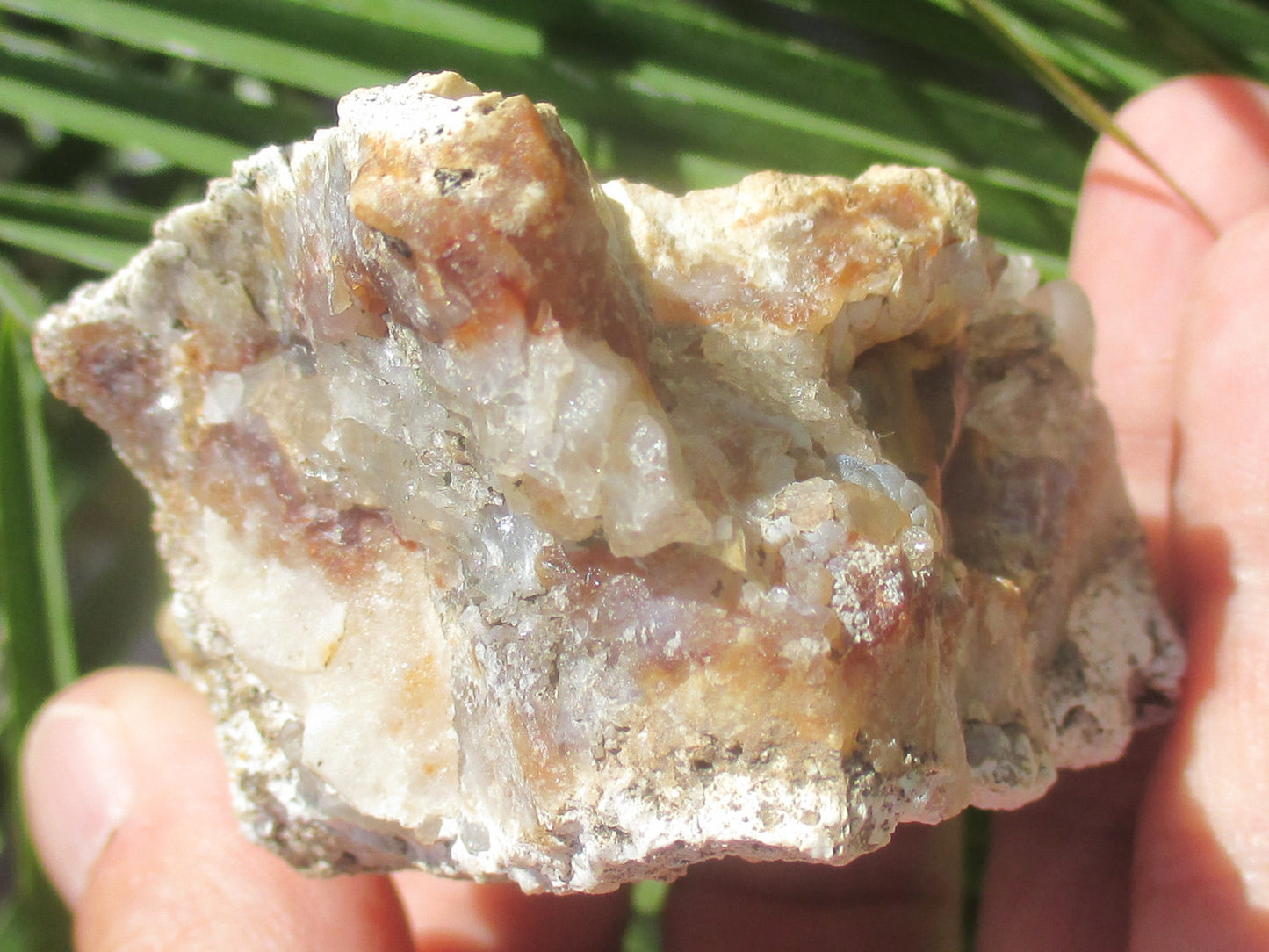 Hand holding a large crystal rock with a natural background