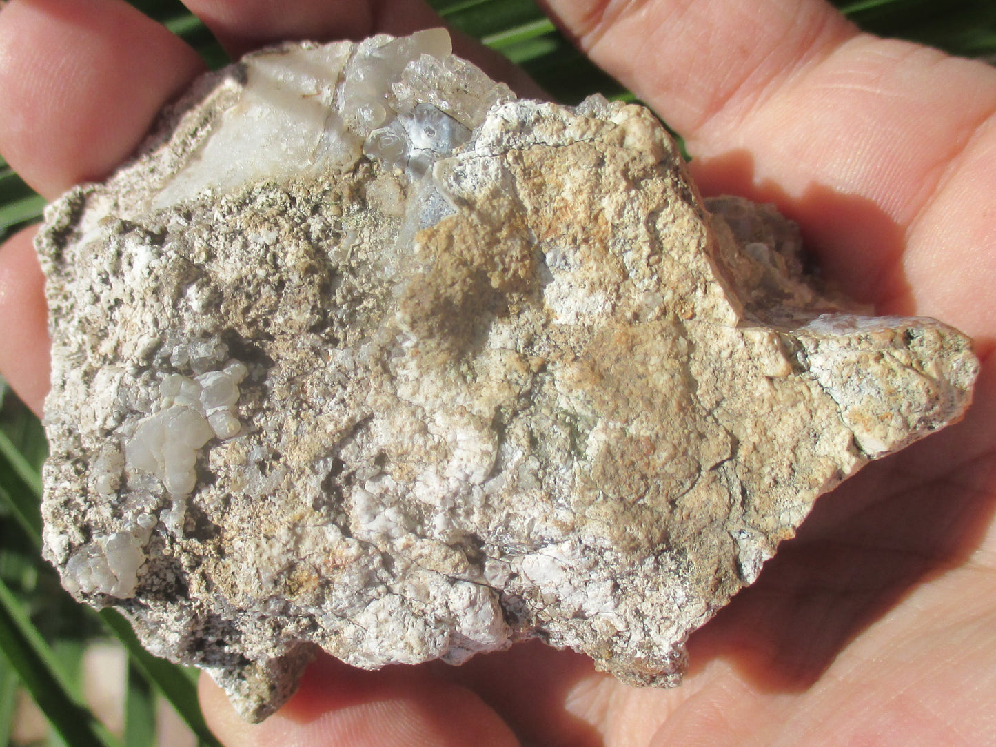 Hand holding a rock with visible crystals against a natural background