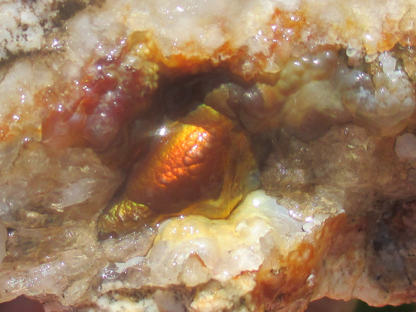 Close-up of a crystal with ared and orange Deer Creek Fire Agate Gemstone on a mineral background