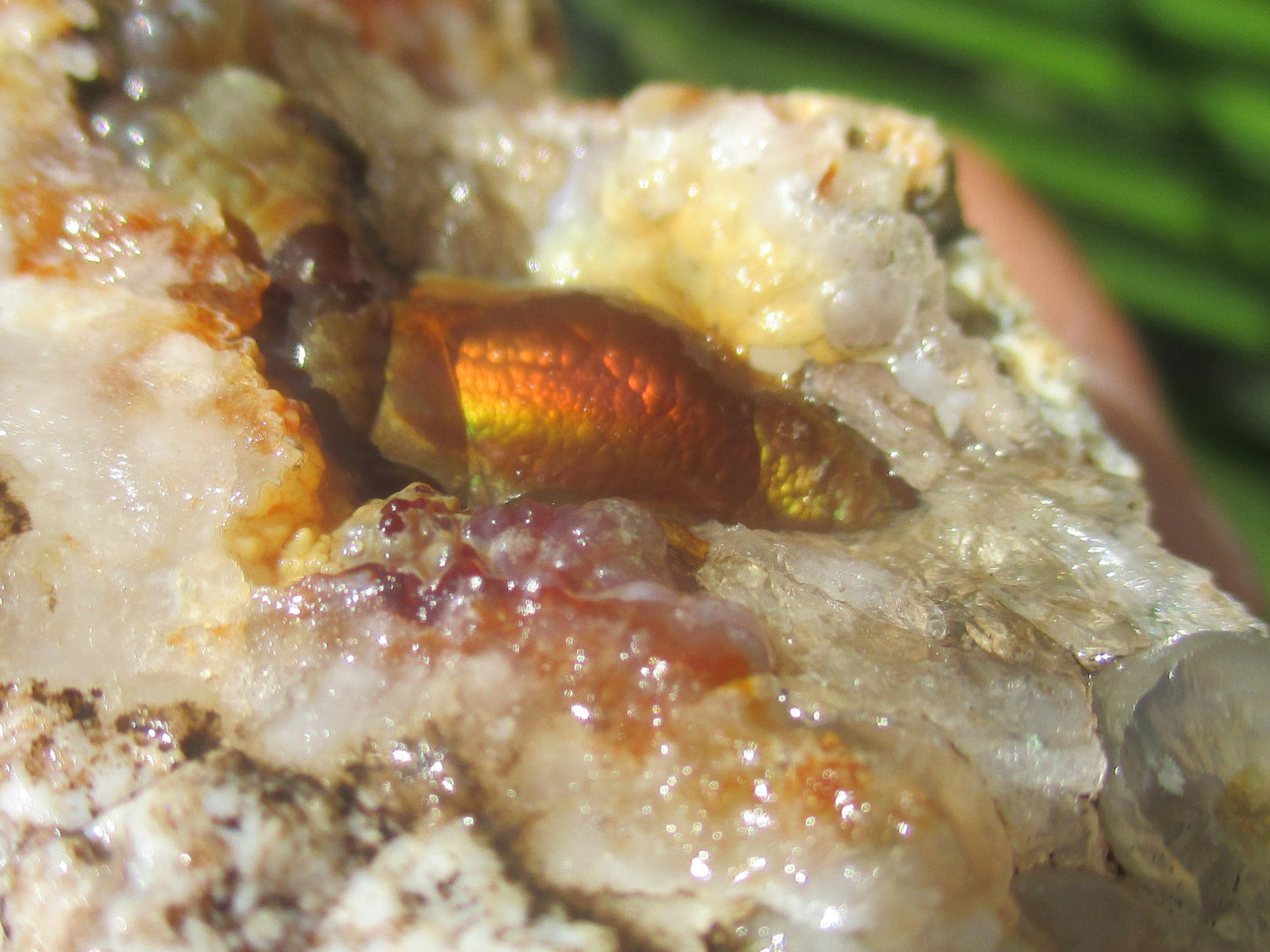 Close-up of a small red and orange fire agate gem on a textured surface with a blurred green background
