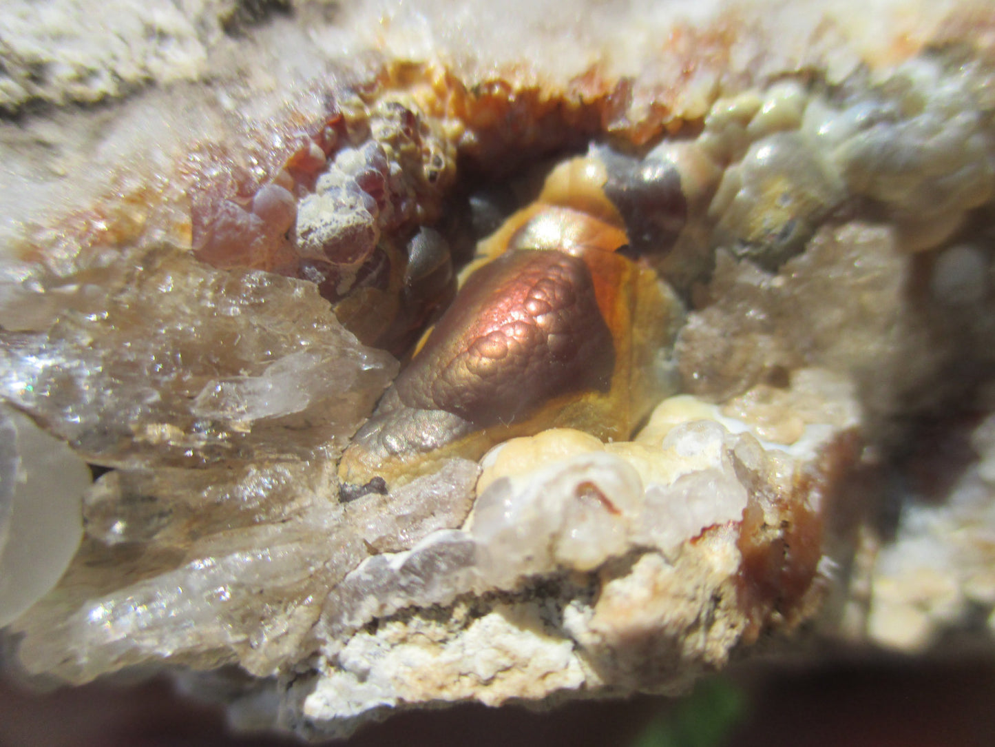 Close-up of a mineral specimen with crystals and metallic inclusions