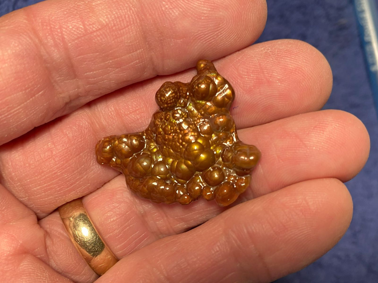 Deer Creek Fire Agate Gemstone Mineral Specimen held in a hand with a blue background