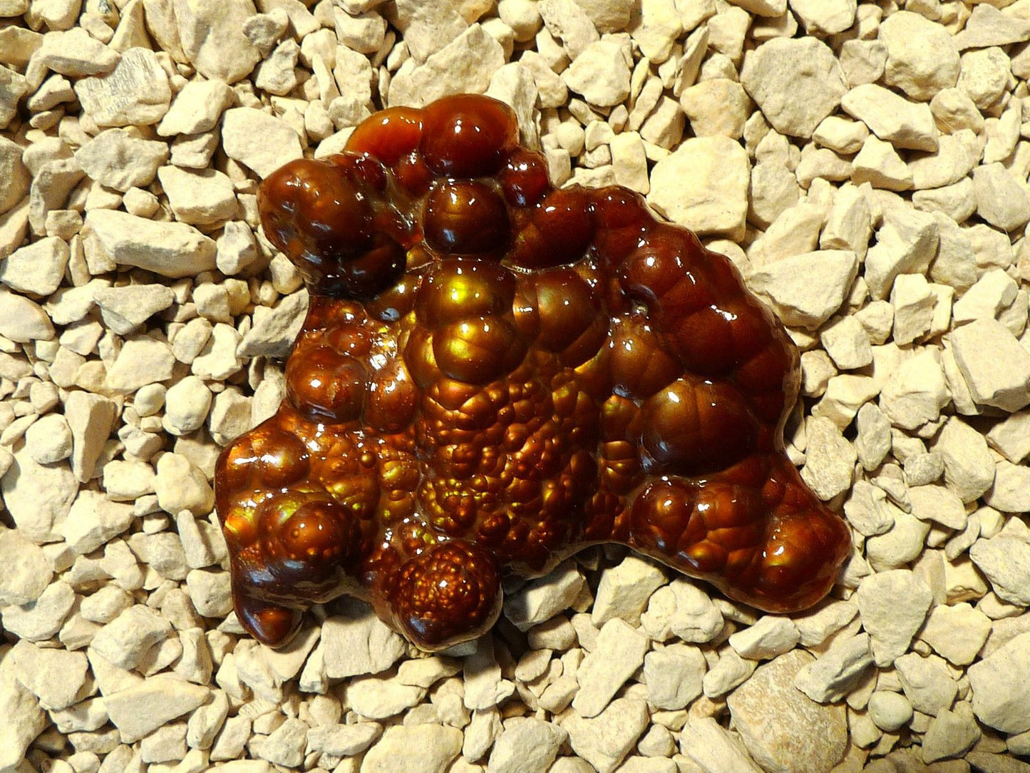 Deer Creek Fire Agate Gemstone Mineral Specimen on a bed of small stones