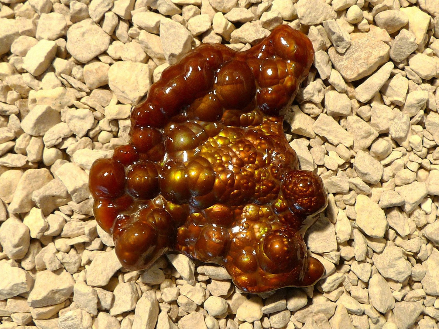 Deer Creek Fire Agate Gemstone Mineral Specimen on a bed of small stones