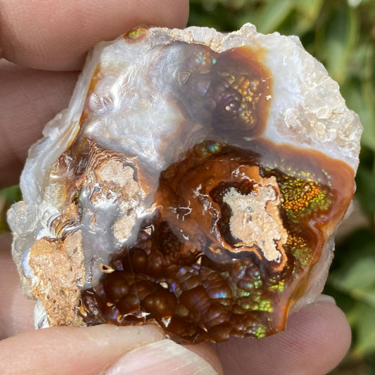 Close-up of a hand holding a colorful windowed Deer Creek fire agate rough mineral display specimen with a blurred green background