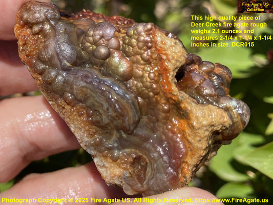 High grade Deer Creek Fire Agate Rough specimen held in hand with text overlay