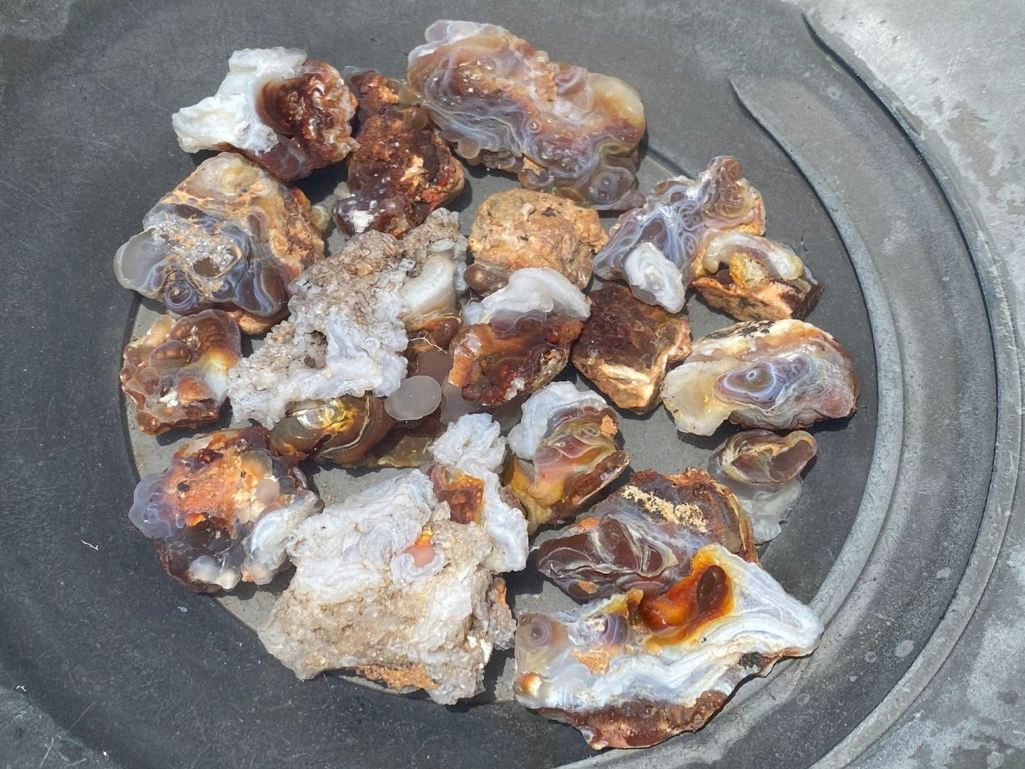 Collection of Deer Creek Fire Agate Rough gemstones in a goldpan filled with water
