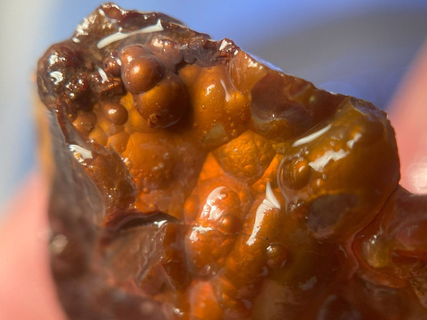 Close-up of a piece of Deer Creek Fire Agate Rough with a blurred blue background