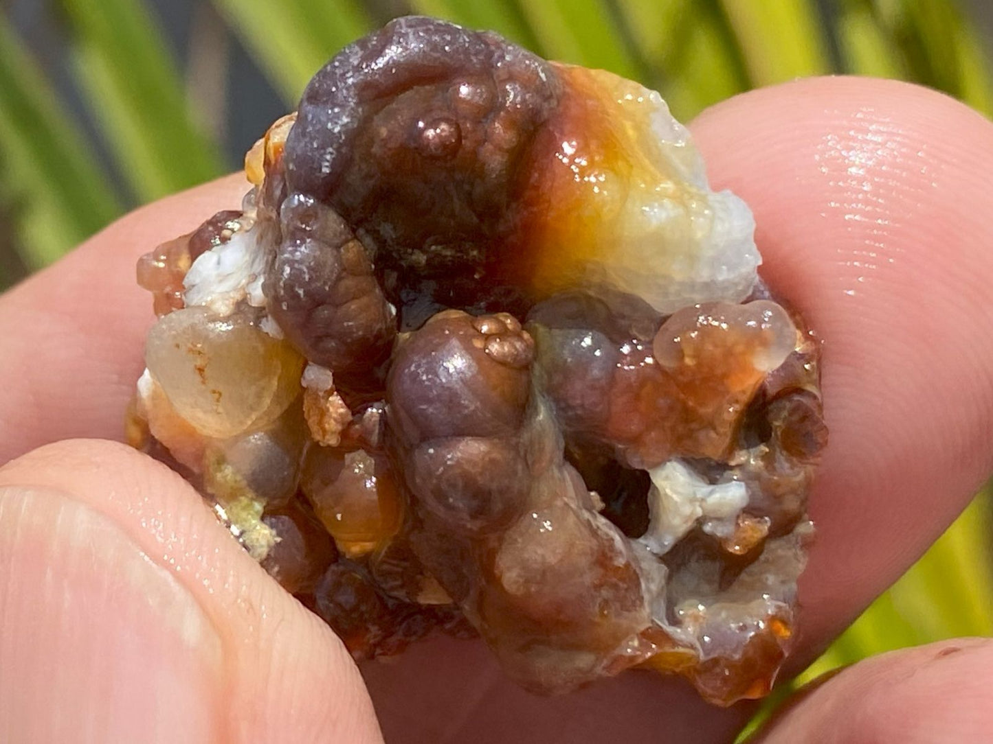 Close-up of a hand holding a piece of fire agate rough multicolored stone with a blurred natural background