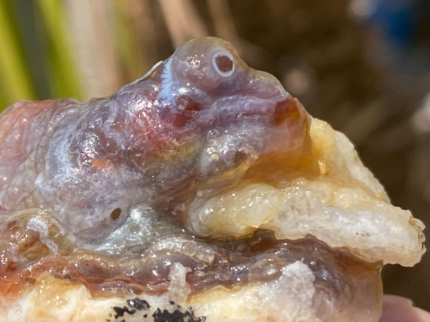 Close-up of a textured, multicolored Deer Creek Fire Agate Rough with a blurred natural background
