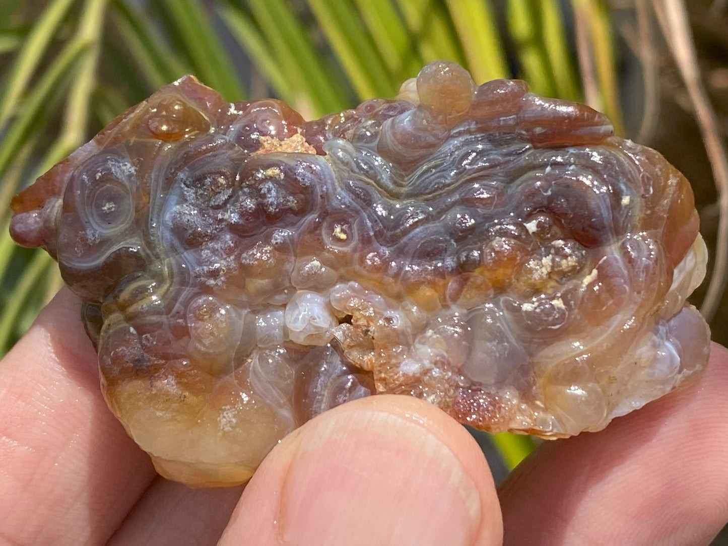 Close-up of a hand holding a rough, brownish crystal rock with a blurred natural background.