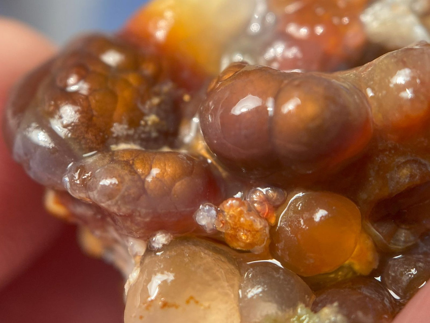 Close-up of a fiery piece of Deer Creek Fire Agate Rough on a blurred background