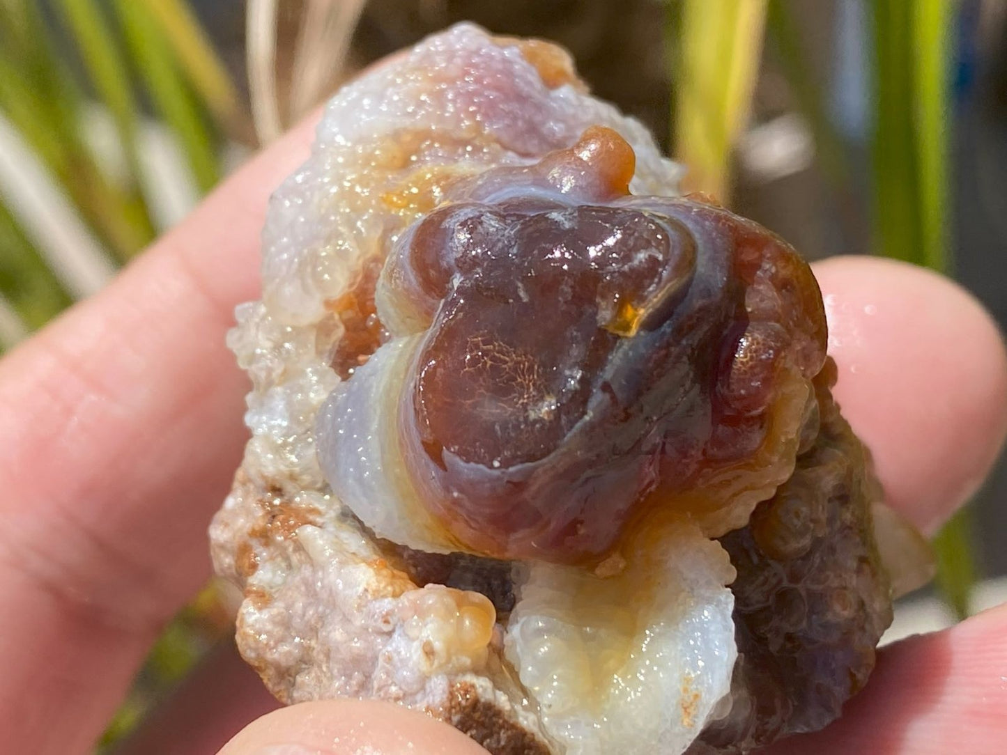 Close-up of a hand holding a Deer Creek fire agate rough stone with brown and white colors.