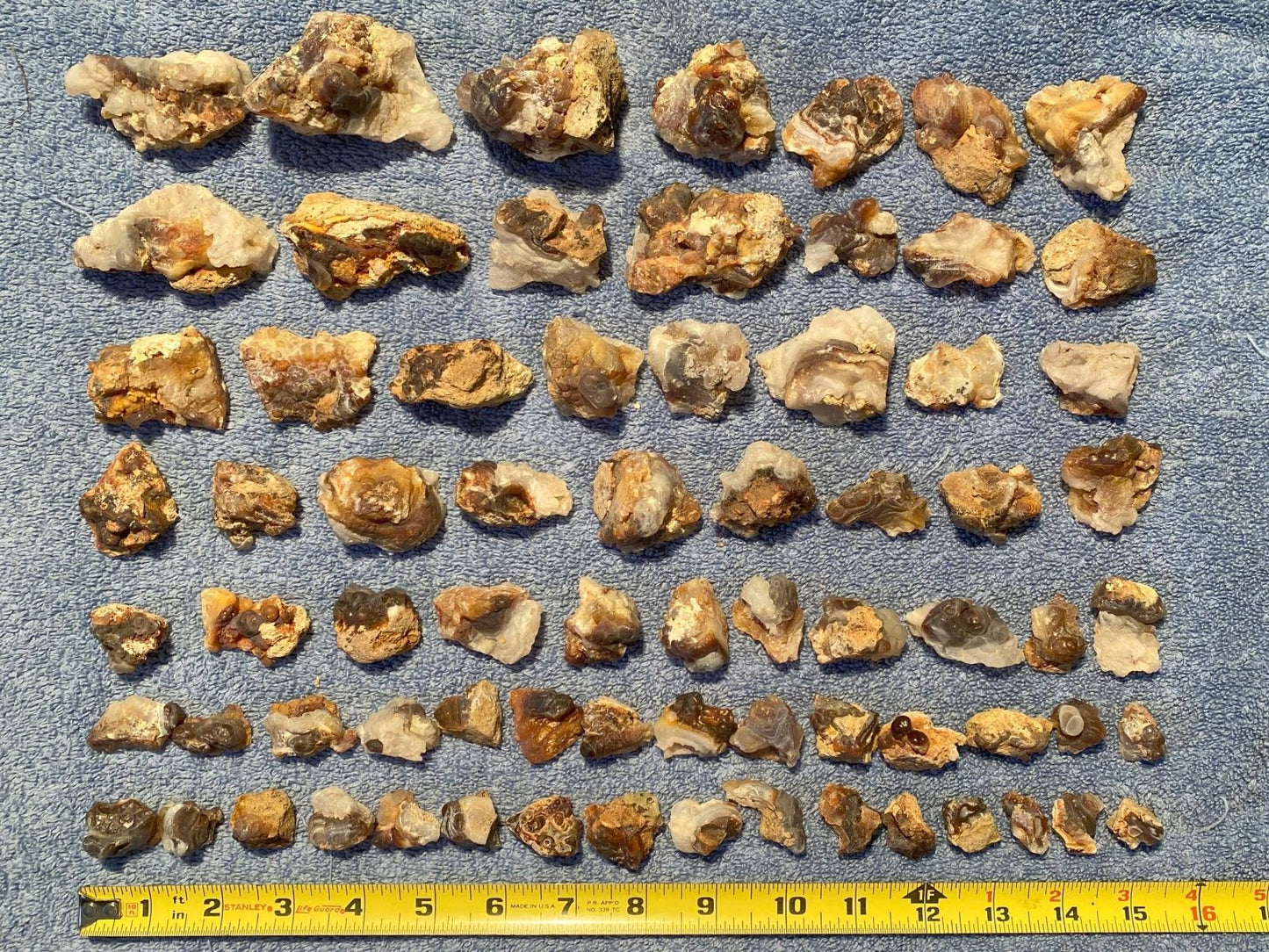 Collection of various sized rocks on a textured surface with a ruler for scale.