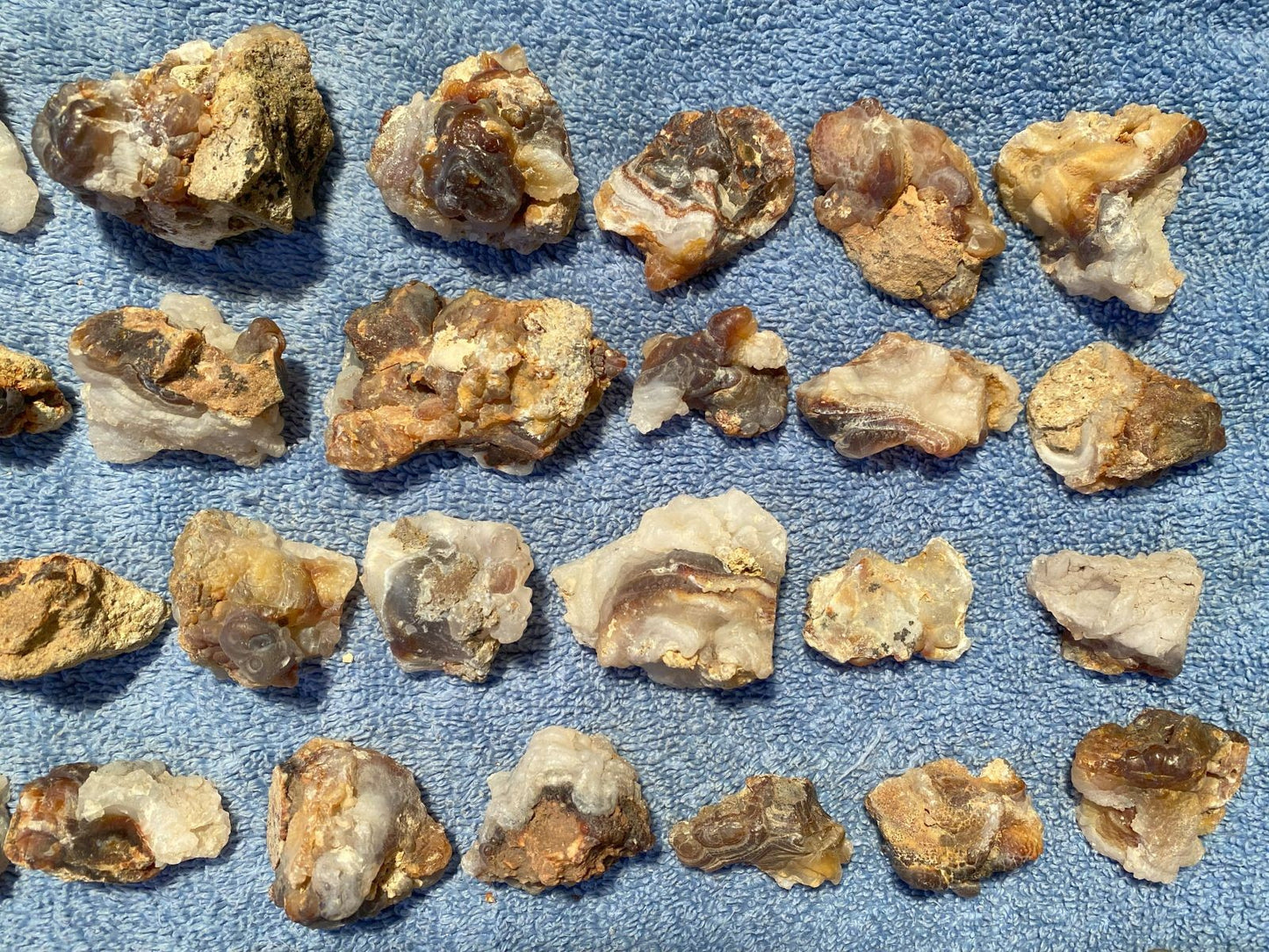 Collection of various sized and shaped pieces of Deer Creek fire agate rough on a textured blue surface