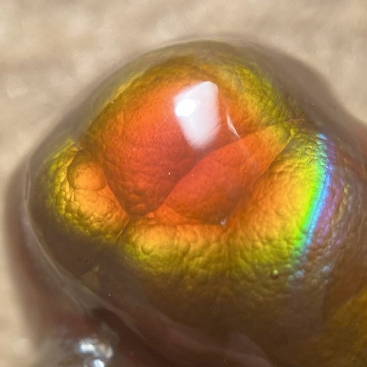 Close-up of a colorful, iridescent Aguascalientes Fire Agate Gemstone a blurred background