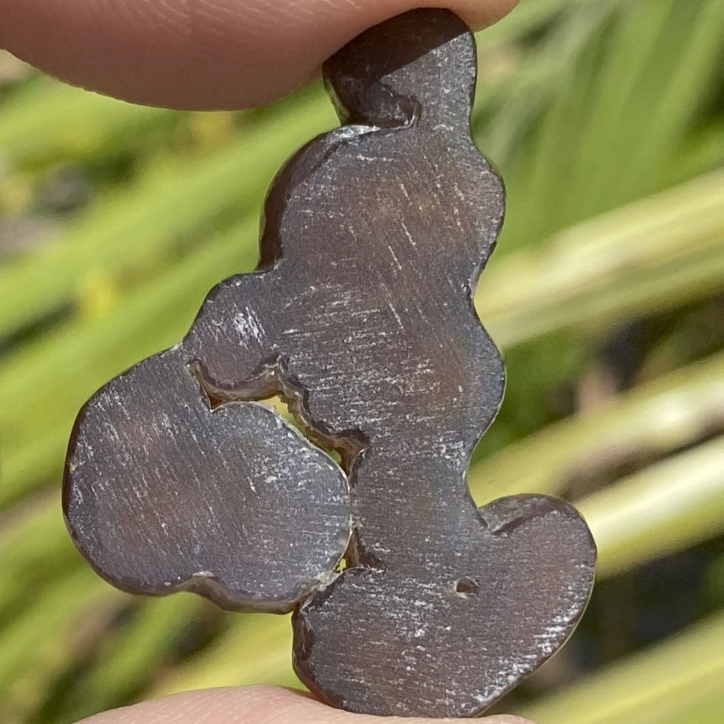 Back side of a Aguascalientes Fire Agate Gemstone held by a hand with a natural background