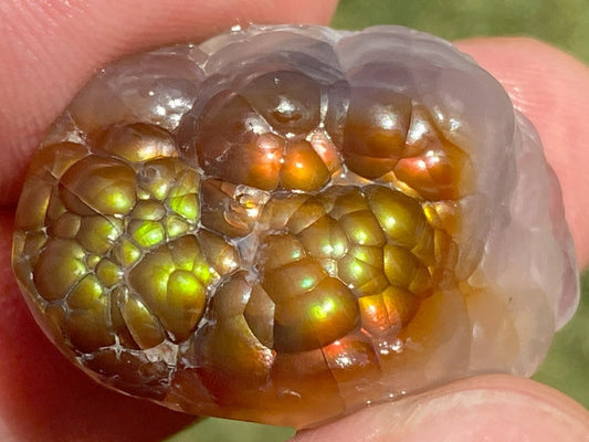 Close-up of an all natural Mexican fire agate rough gemstone specimen being held between fingers.