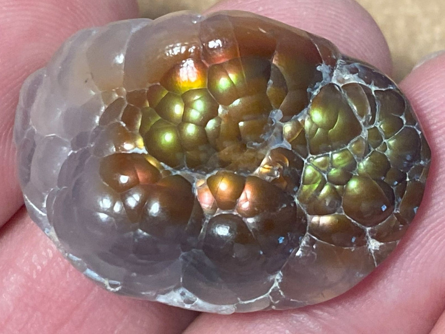 Close-up of Aguascalientes Fire Agate Gemstone All Natural Mineral Specimen 51 MXM005