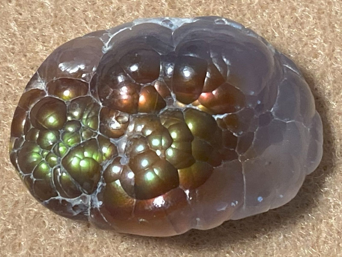 Close-up of a unpolished fire agate stone with concentric circles on a beige background