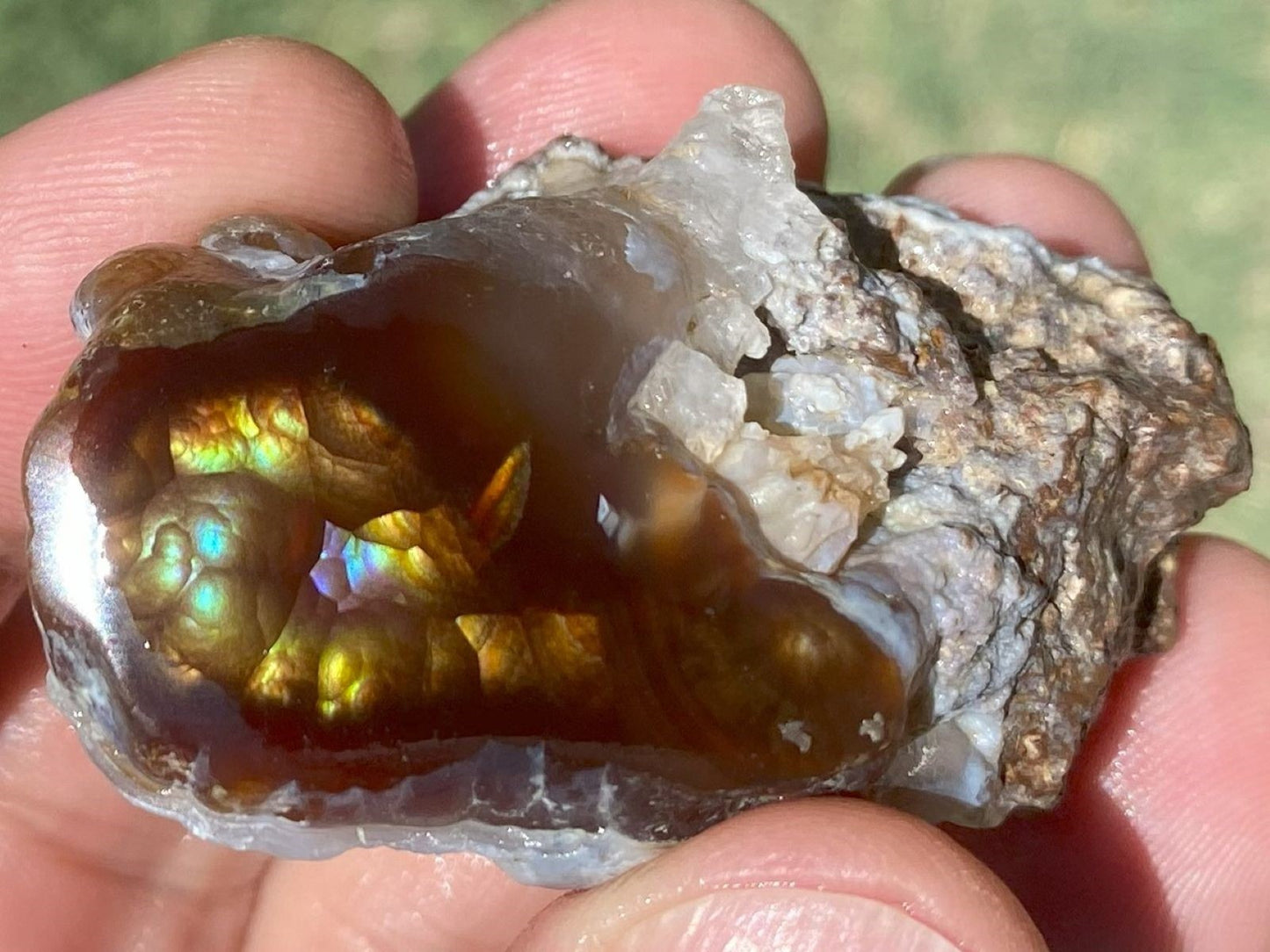 Close-up of a hand holding a windowed piece of Aguascalientes Fire Agate rough.