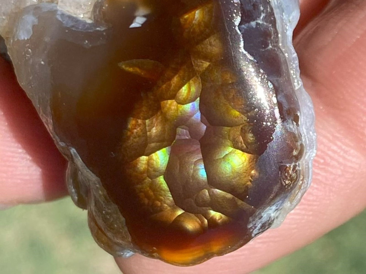Close-up of a polished Aguascalientes Fire Agate Specimen held in a hand with a blurred natural background