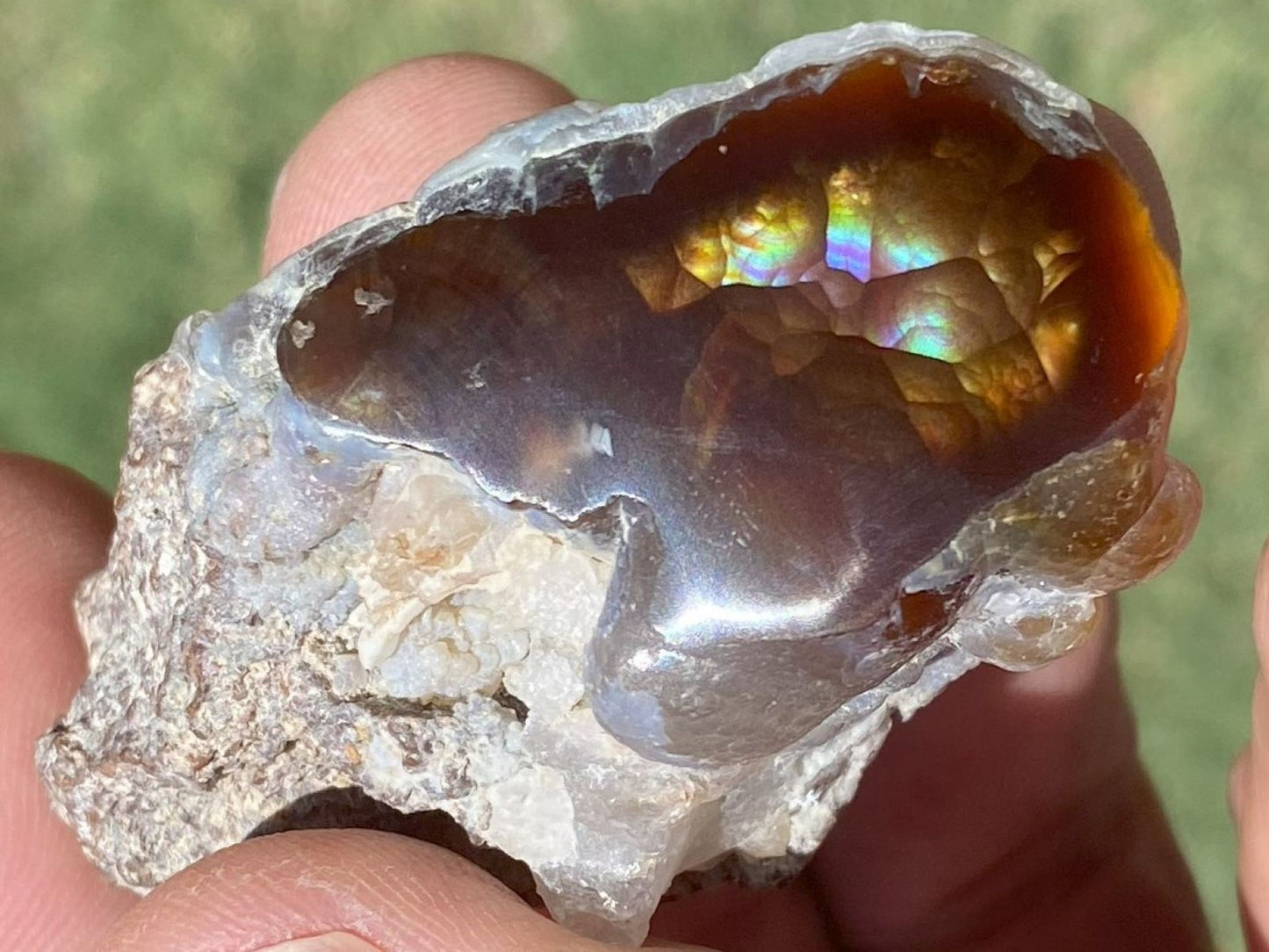Polished gemstone with colorful interior held in a hand against a blurred natural background
