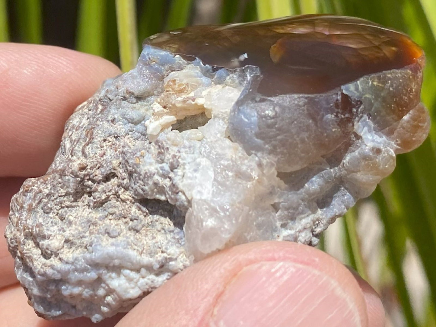 Close-up of a hand holding a rough stone with a brownish top and white matrix, against a blurred natural background.