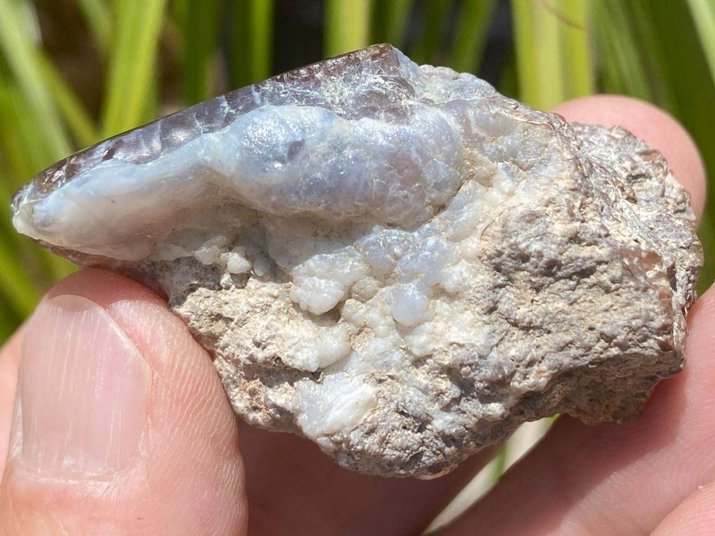 Hand holding a rough-textured rock with visible crystals against a blurred natural background