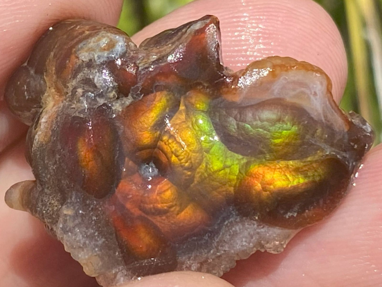 Close-up of a Fire Agate Rough Aguascalientes Mexico Windowed Gemstone held between fingers
