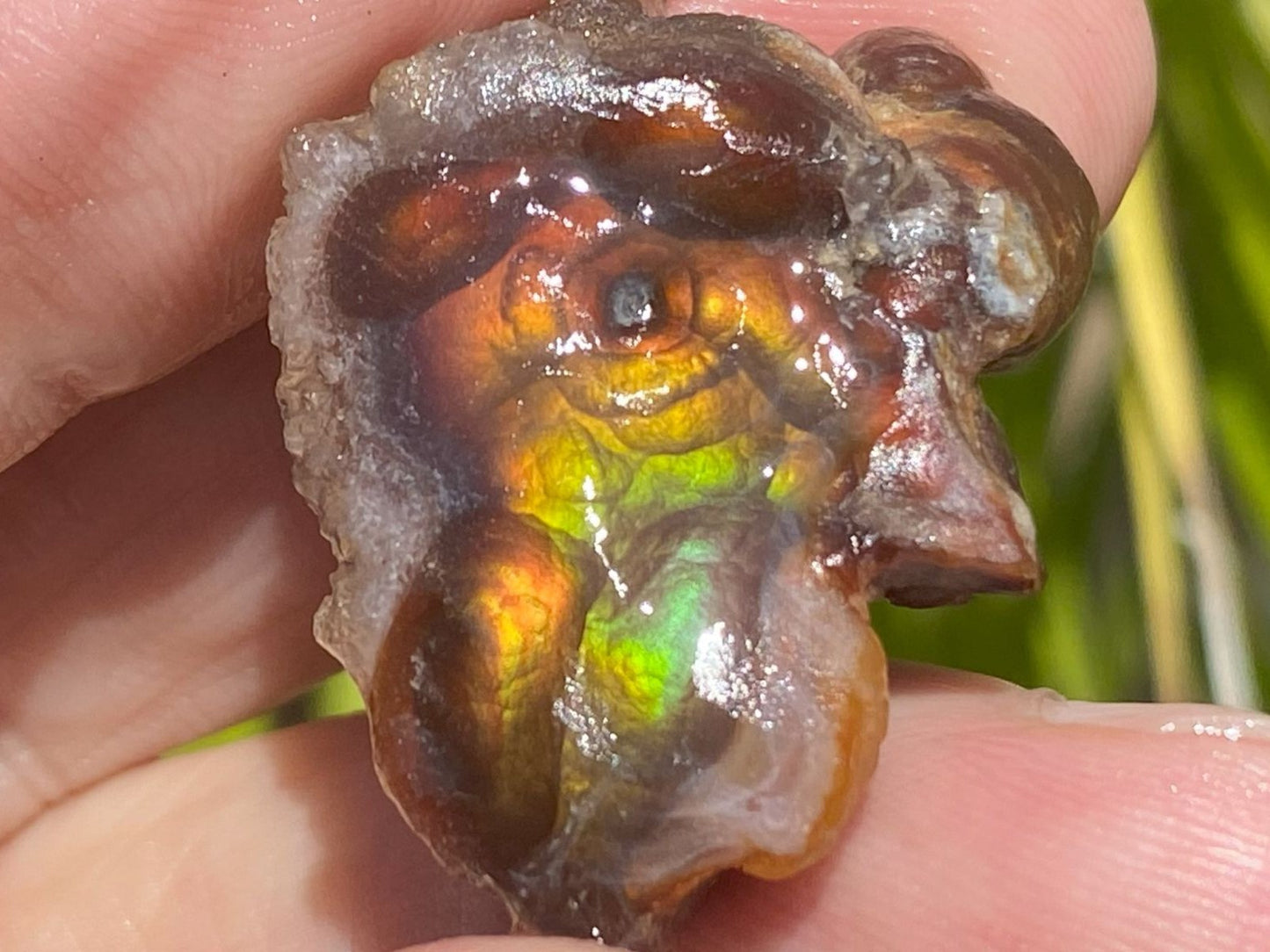 Close-up of a colorful Fire Agate Rough Aguascalientes Mexico Windowed Gemstone held between fingers with a natural background