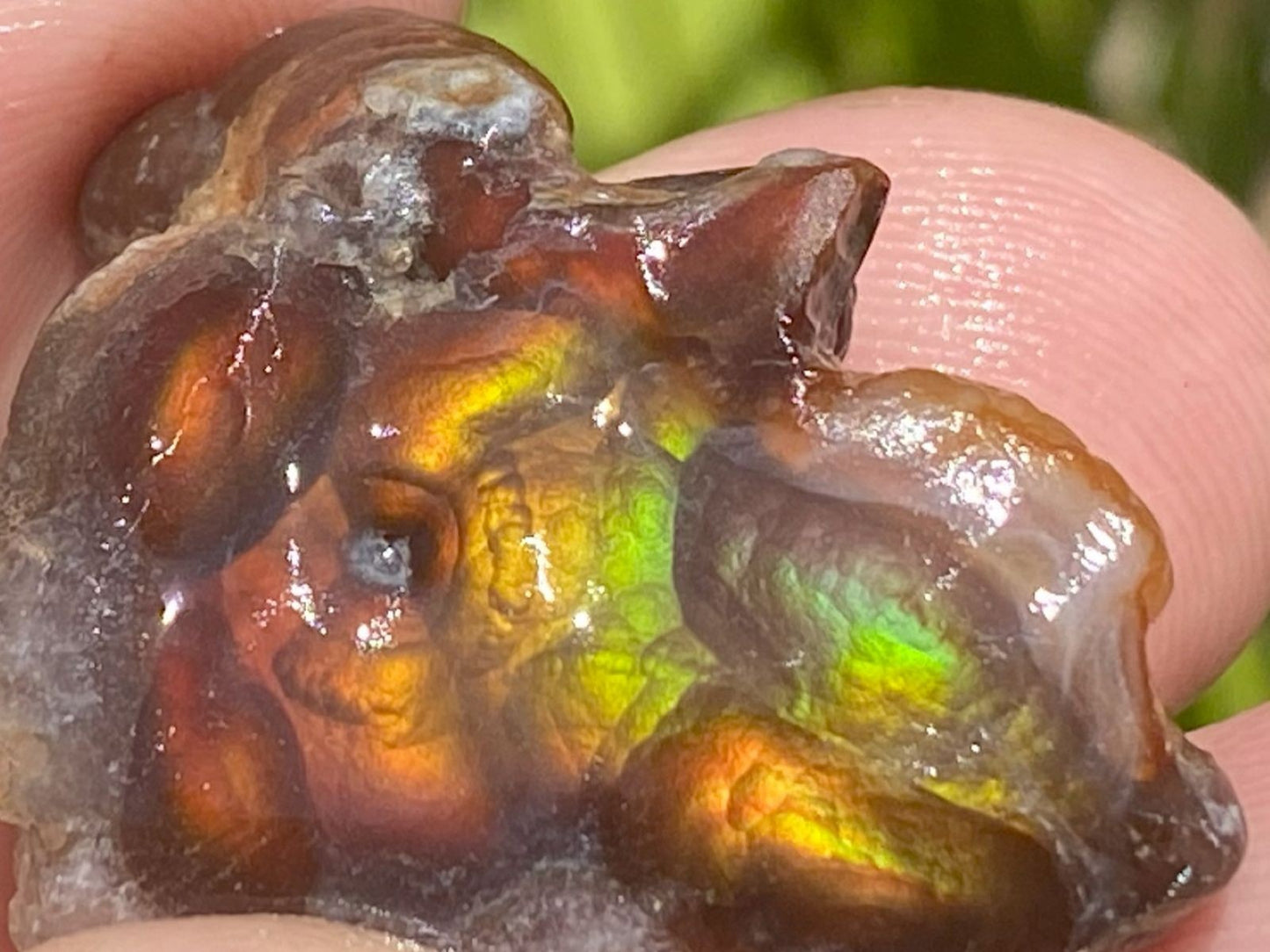 Close-up of a colorful Fire Agate Rough Aguascalientes Mexico Windowed Gemstone held between fingers with a blurred green background
