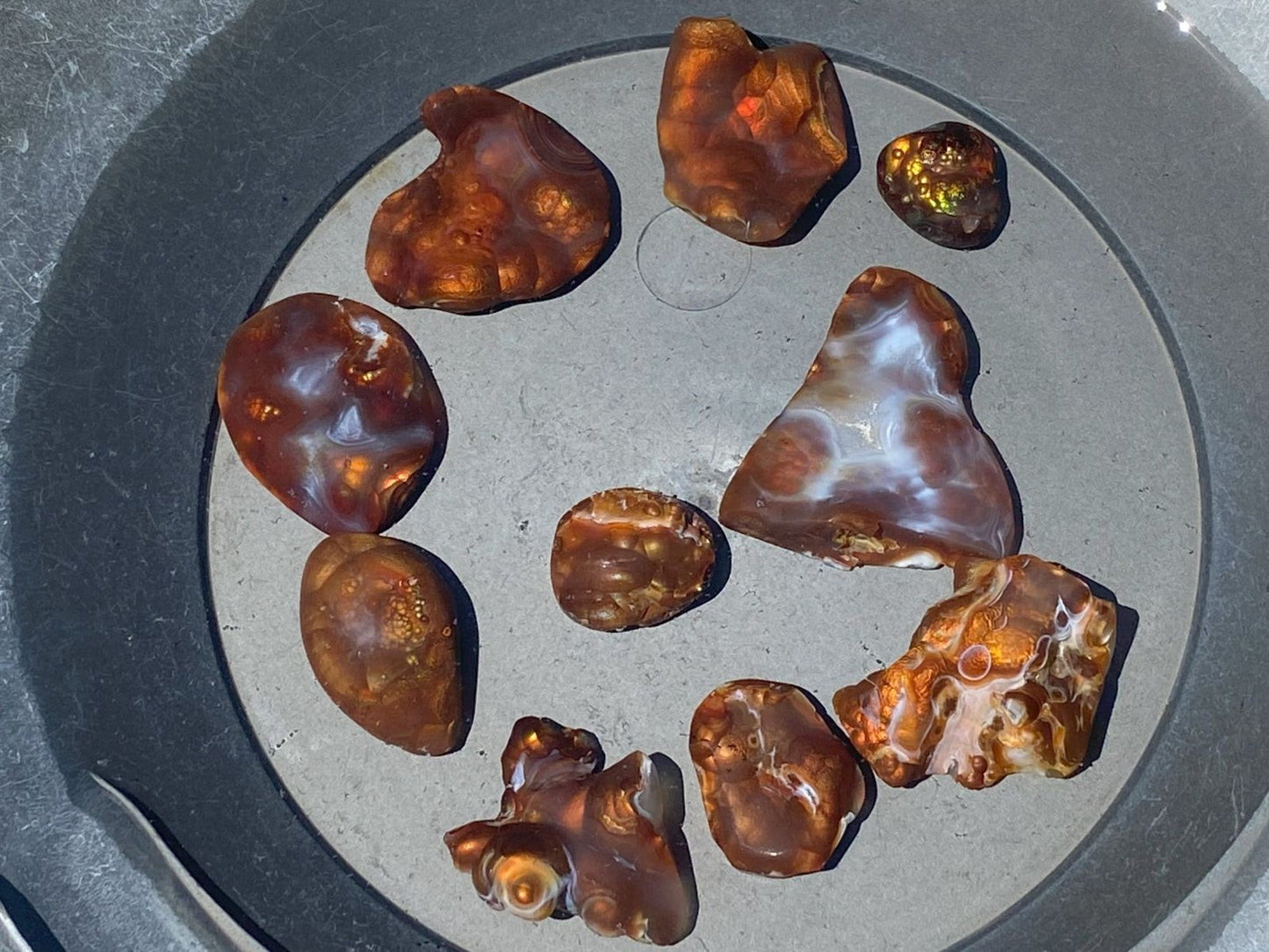 Collection of fire agate gemstones being displayed wet in a goldpan