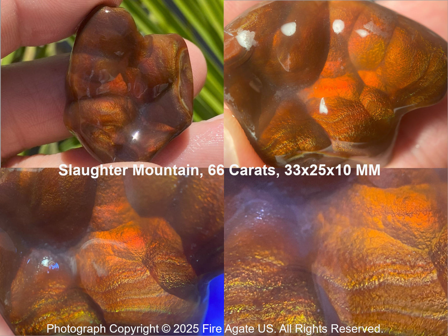 Close-up of a Fire Agate stone held in a hand with text indicating 'Slaughter Mountain, 66 Carats, 33x25x10 MM'.
