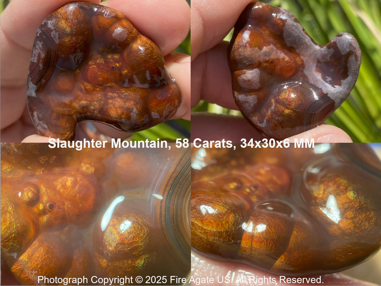 Fire Agate from Slaughter Mountain with dimensions 34x30x6 MM and 58 Carats, held in a hand.