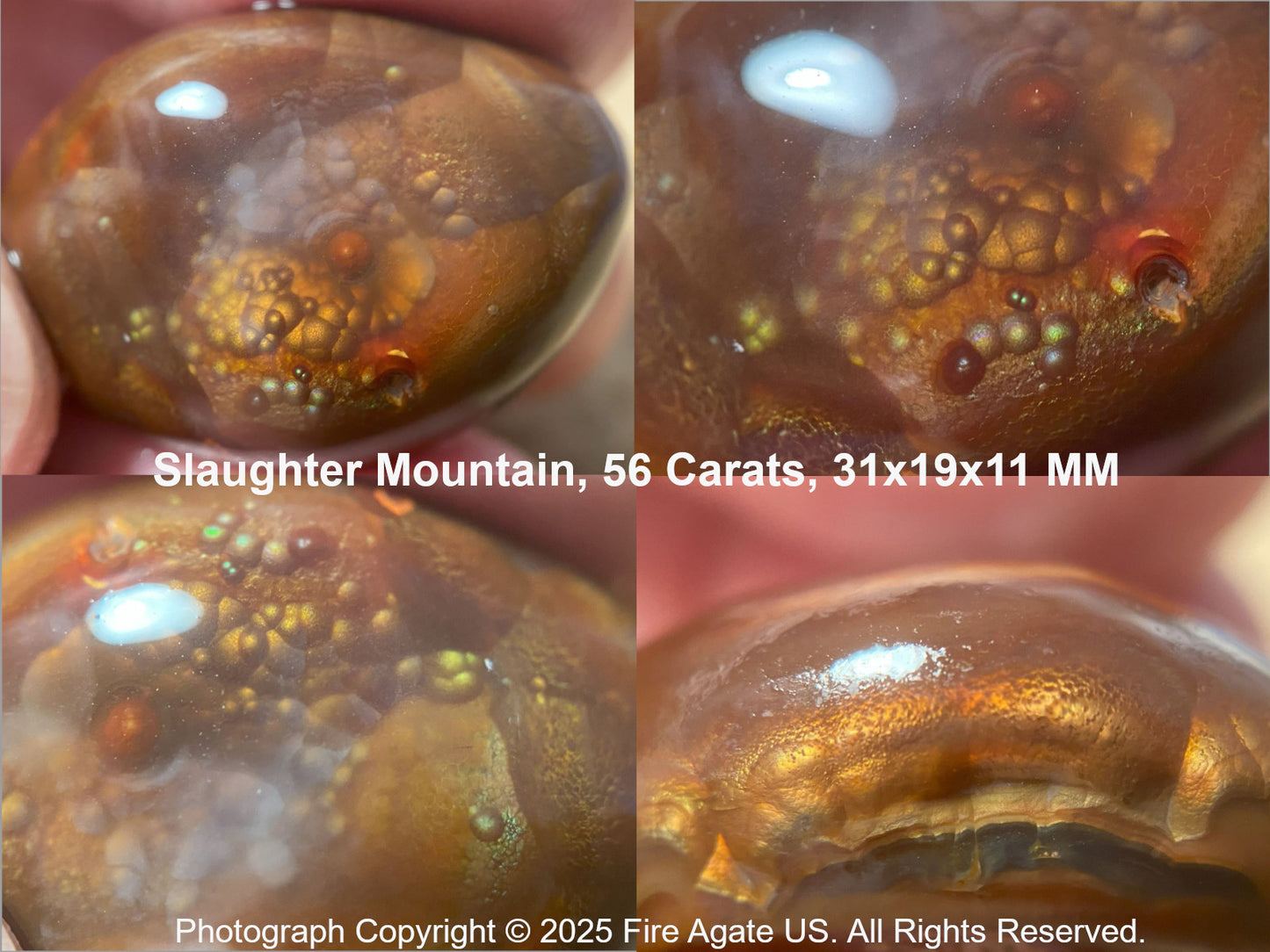 Close-up of a Slaughter Mountain fire agate with dimensions 31x19x11 MM, held by a hand.