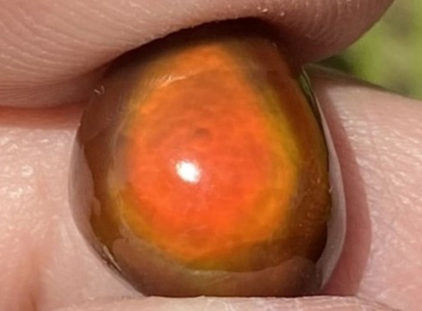 Close-up of a person holding a Slaughter Mountain Fire Agate Gemstone with a blurred natural background