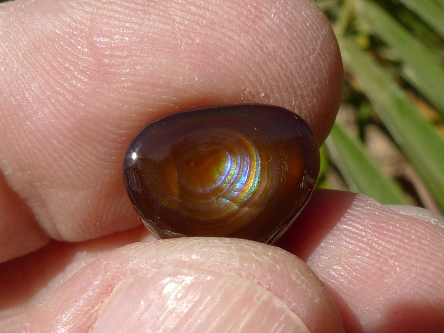Close-up of the back side of a Slaughter Mountain Fire Agate Gemstone that displays a fire pattern held between fingers with a natural background