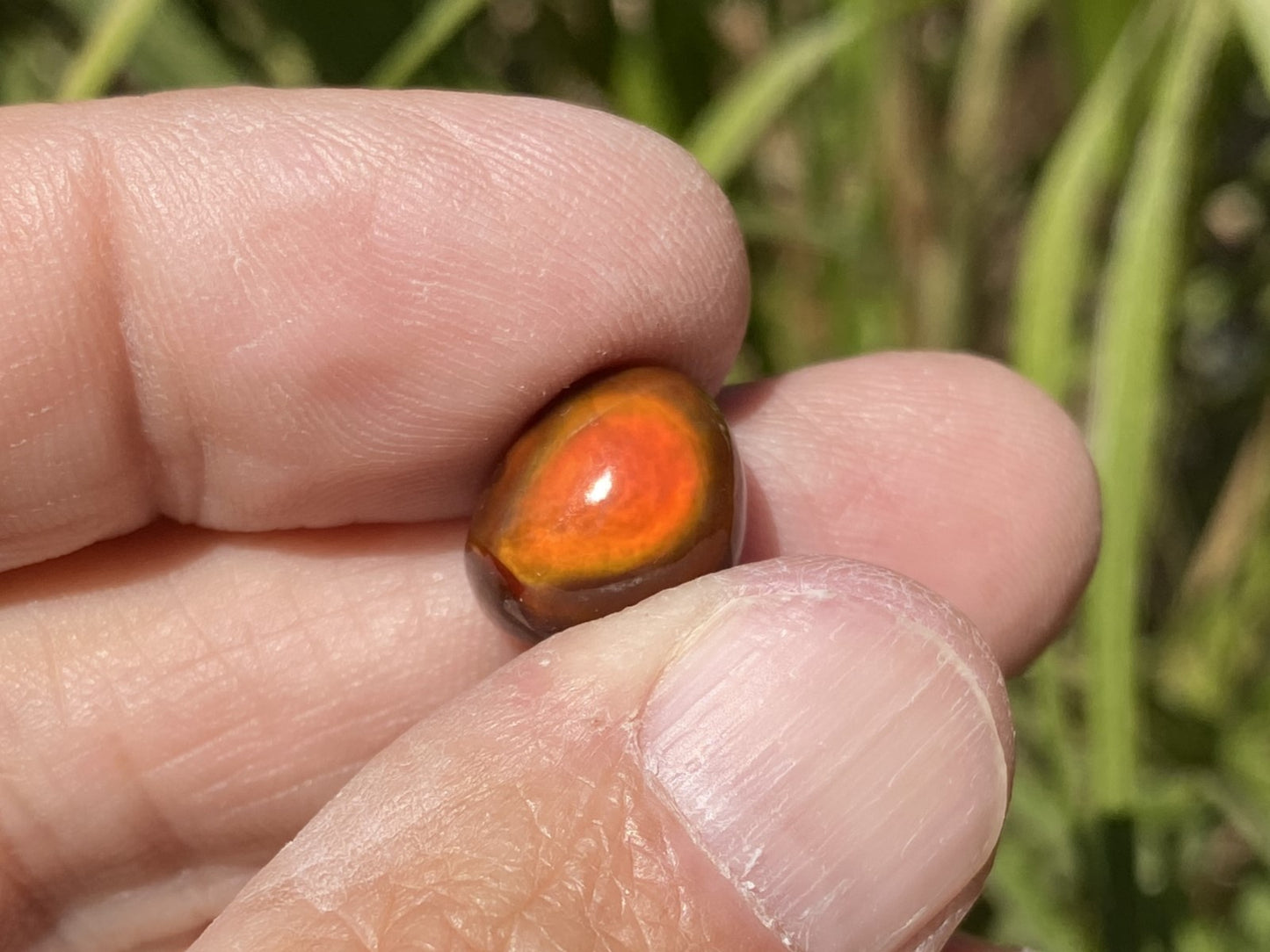 Hand holding an orange Slaughter Mountain Fire Agate Gemstone with a blurred natural background