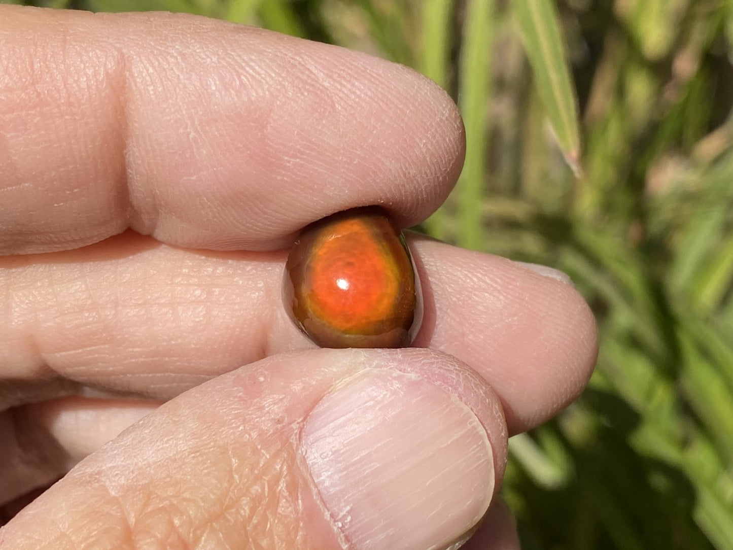 Hand holding a red-orange stone with greenery in the background
