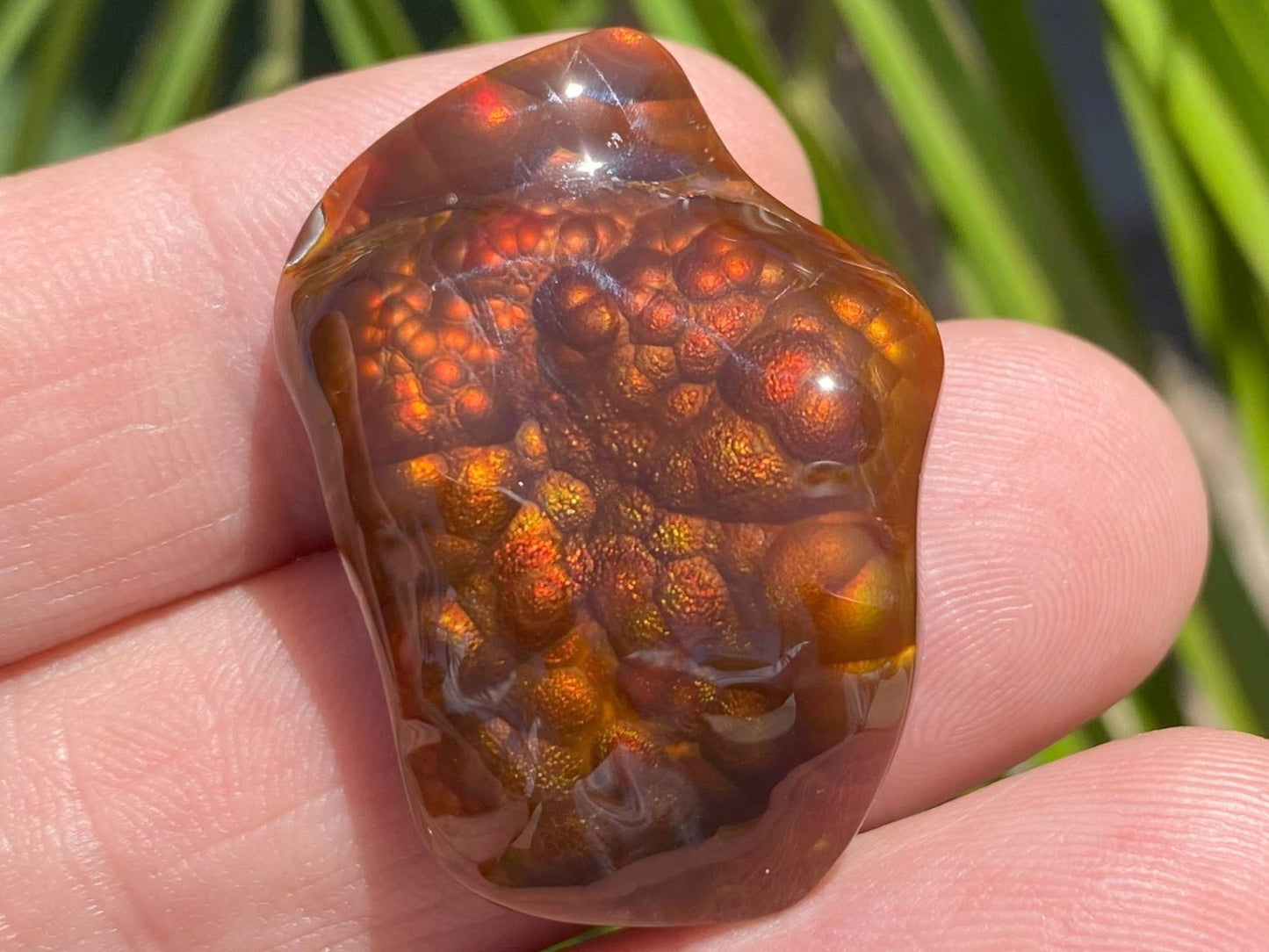 Close-up of a polished Slaughter Mountain fire agate gemstone stone being held in human hand outdoors in sunlight.