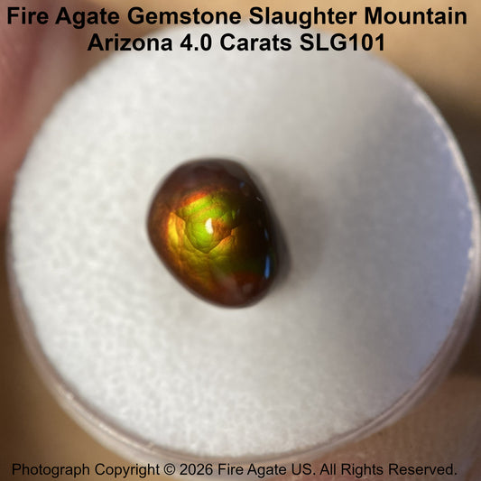 A 4.0 carat fire agate gemstone with a vibrant green, orange, and brown iridescent play-of-color, displayed on a white foam ring.