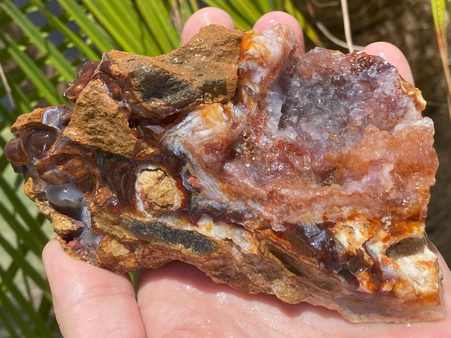 Close-up of a hand holding a large, Slaughter Mountain fire agate rough mineral specimen with a natural background.
