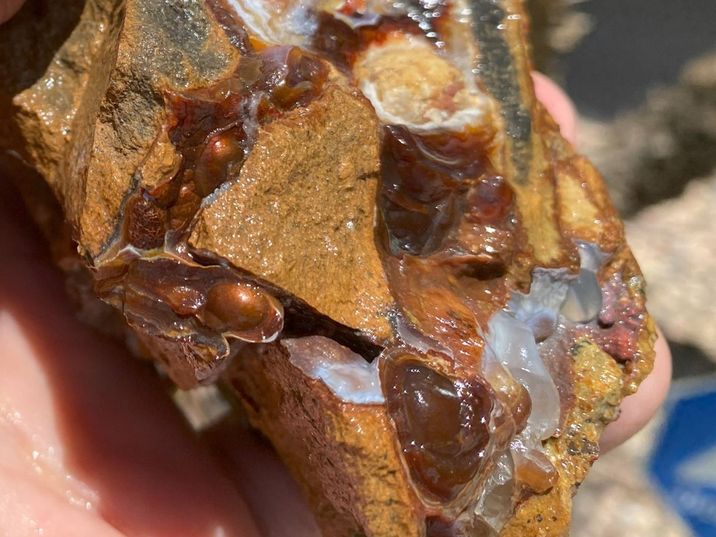 Close-up of a hand holding Slaughter Mountain fire agate rough mineral specimen, brown stone with visible fire agate gemstones.