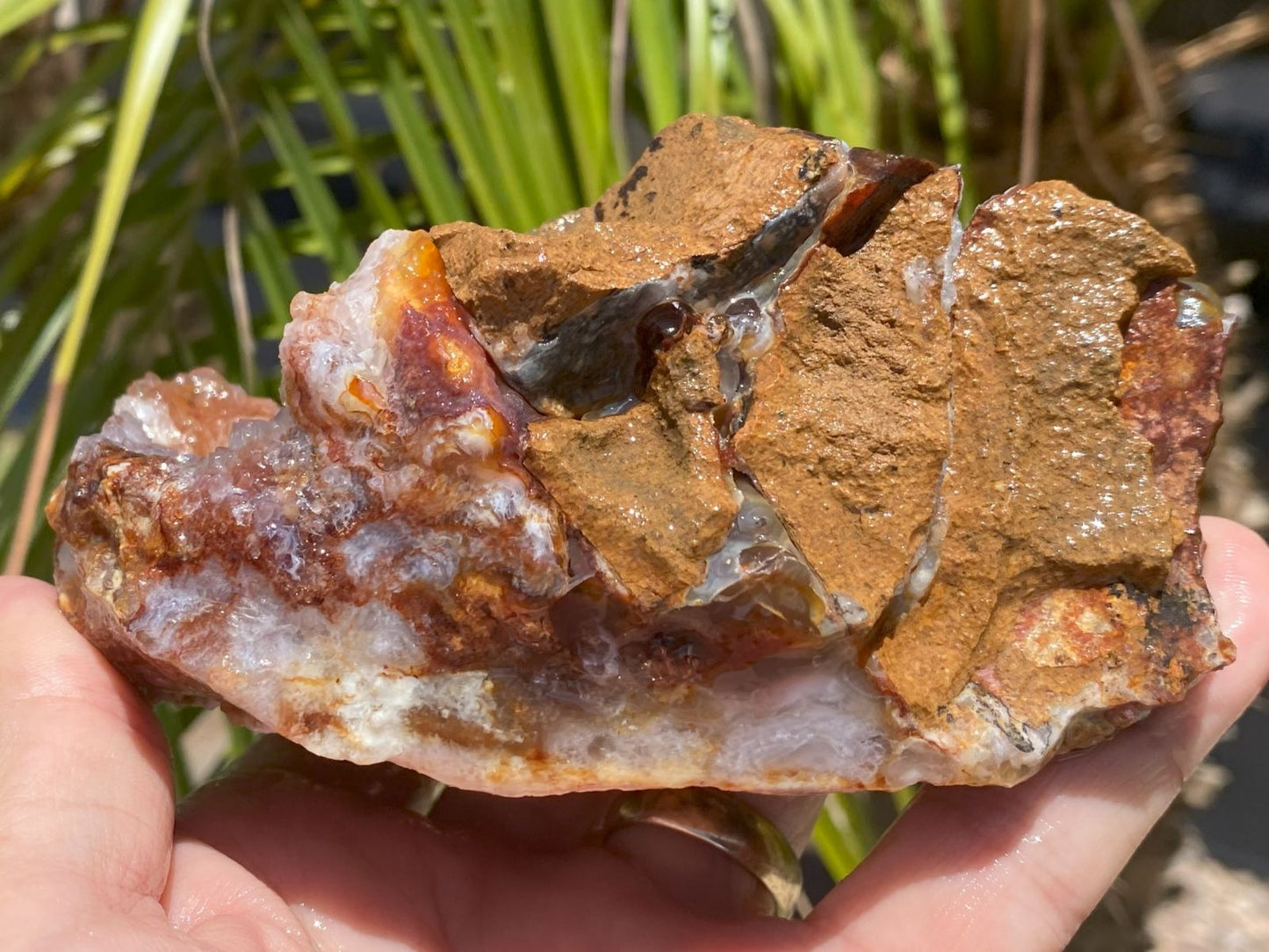 Hand holding a Slaughter Mountain fire agate rough mineral specimen with visible minerals against a natural background